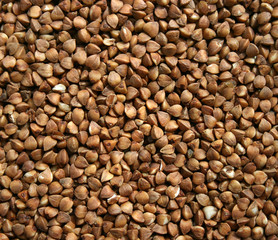 buckwheat