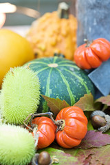 Autumn decoration display in the garden for halloween