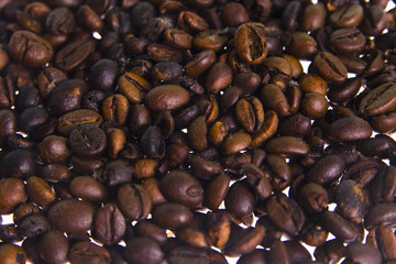 Coffe grains