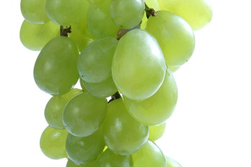 close up of green grape on white background