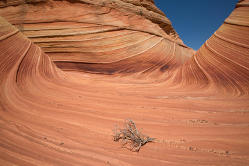 Die Wave im Paria Canyon