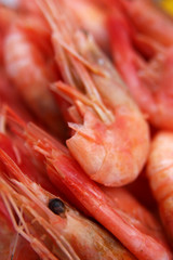 shrimps