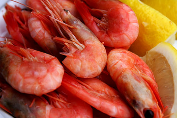 shrimps