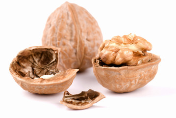 Walnut