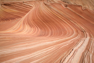 Die Wave im Paria Canyon