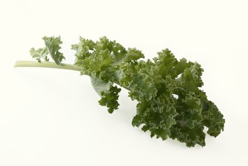 leaf of green kale