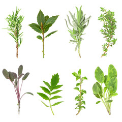 Herb Leaf Sprigs