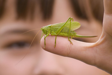 Girl with grasshopper