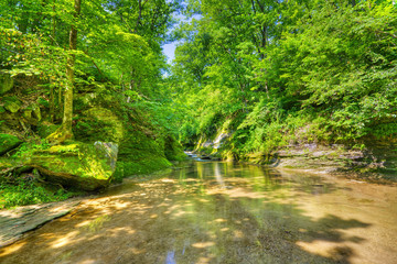 Fall Creek Gorge