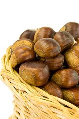 esskastanien  im korb - freigestellt