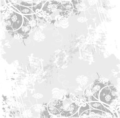 floral blanche sur fond gris