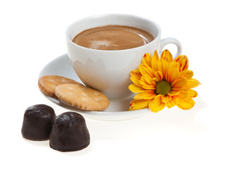 Cappuccino cup with biscuits, sweets and flower, isolated