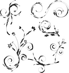 A set of high quality floral design elements