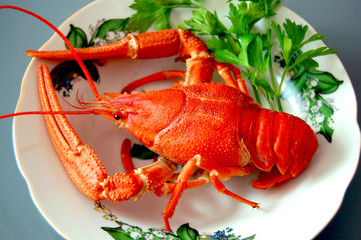 Red Boiled cancer with parsley on plate