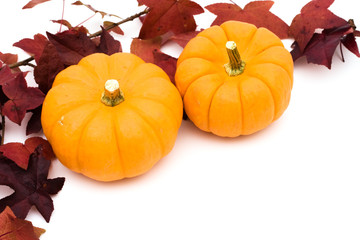 Fall leaves with orange gourd on white background, fall border
