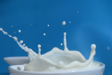Extreme close-up of a milk splash with blue background