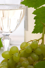Glass of white wine, bottle and fresh cut green grape bunch