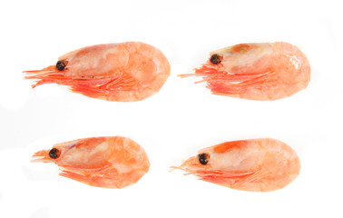 Four whole shell on prawns isolated on white