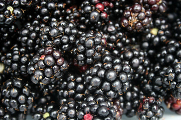 blackberries