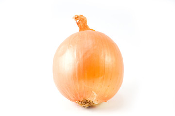 Onion isolated on white background