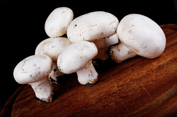 Funghi Bianchi 4