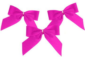 pink christmas boughs on a white background