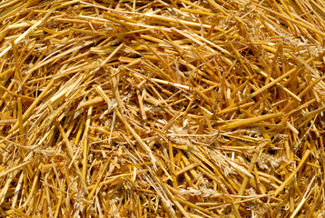 Shot of the center of a spiral hay bale.