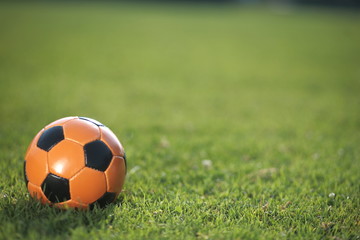 football in the grass