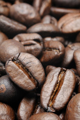 Close up of roasted coffee beans