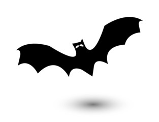 chauve-souris