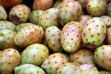Figues de Barbarie