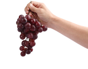 Grapes in a hand