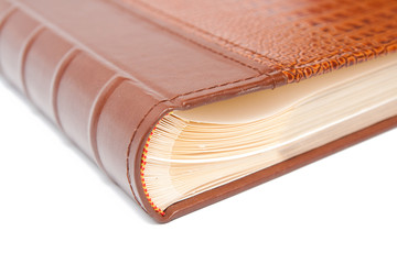 book with crocodile cover isolated on white