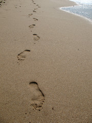 Fototapeta na wymiar ślady na plaży