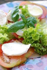 caprese salad. tomatoe, basil and mozzarella cheese