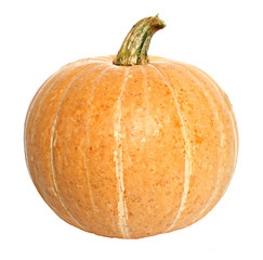 Ripe pumpkin on a white background.