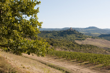 Toscana-16