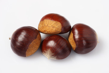 chataignes de studio