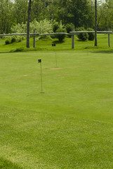 Fototapeta premium Golf club view of putting green - sport