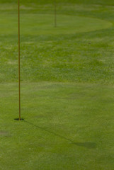 Obraz premium Golf club view of putting green - sport