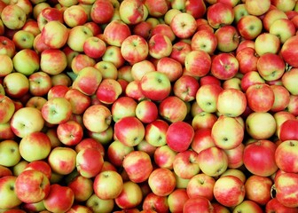 Close-up of many green and red apples