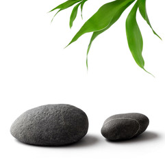 Fototapeta na wymiar zen-like pebbles and bamboo leaves