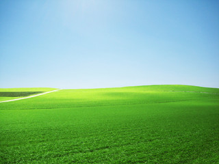 backdrop - green fields and blue sky