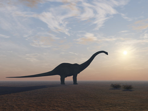 Diplodocus Dinosaur at its End