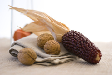 colors of autumn, composition with autumnal fruits