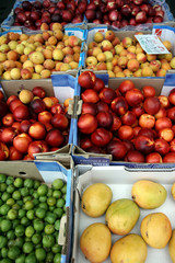 Fruit Pick Up
