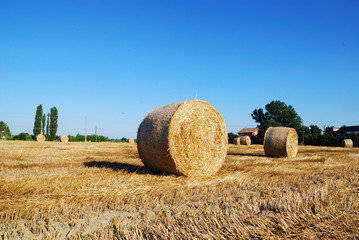 Straw bales on italian farmland with blue sky