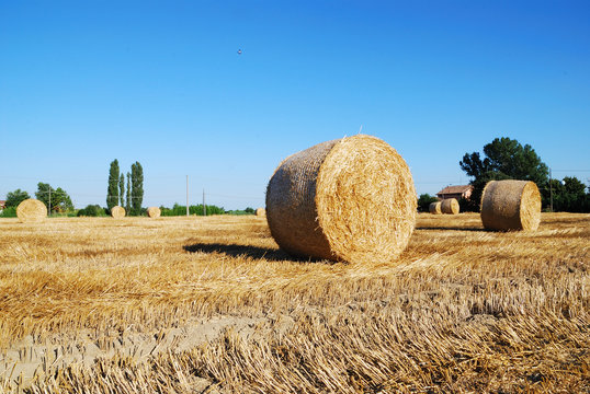 Straw bales on italian farmland with blue sky