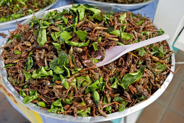 Heuschrecken zum Essen, Asien