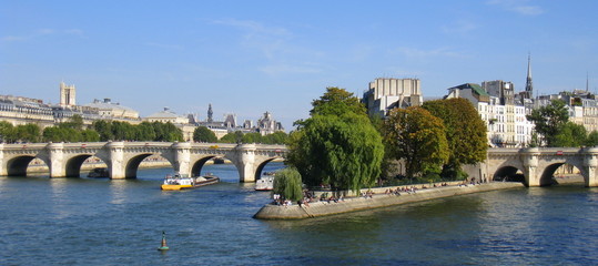 Fototapeta na wymiar krańcu wyspy miasta (Paryż)